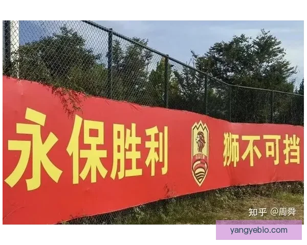 威尼斯冲甲获亿元融资加速新球场计划